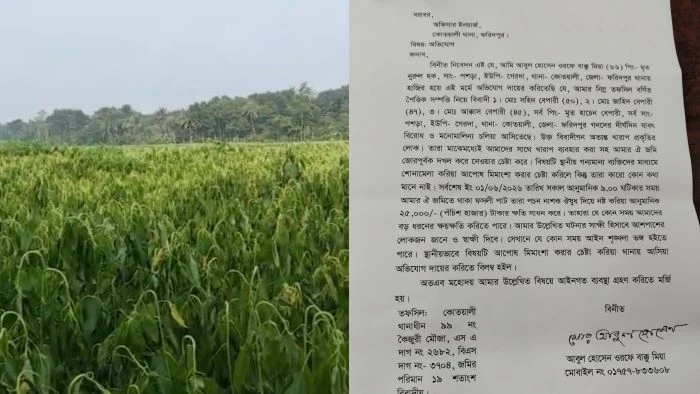 ফরিদপুরে কৃষকের পাটখেতে বিষ প্রয়োগের অভিযোগ
